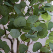 Nearly Natural 6' Artificial Eucalyptus Tree with White Decorative Planter, Green Foliage