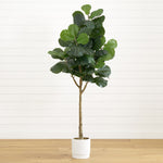 Potted fiddle leaf fig plant on a wooden floor with a white wall background