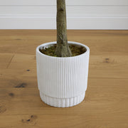 White ribbed pot with a tree on a wooden floor