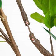 Faux Ficus Floor Tree
