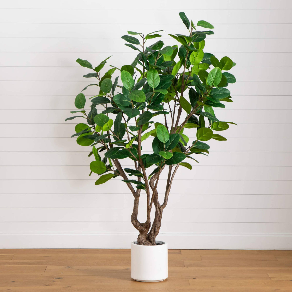 Nearly Natural Artificial Audrey Ficus Tree with Lifelike Green Leaves ...