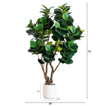 Grand Fiddle Leaf Fig Tree