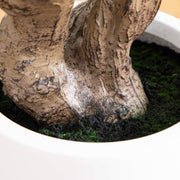 Decorative Greenery Accent