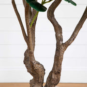 White Planter Fiddle Tree