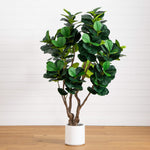 Grand Fiddle Leaf Fig Tree