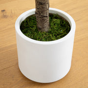 White Decorative Planter