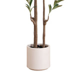 An artificial potted plant with two brown faux tree trunks, green leaves, and a matte off-white cylindrical pot, isolated on a white background.