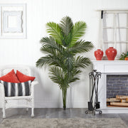 Decorative indoor plant in a living room setting with a white fireplace and wicker chair.