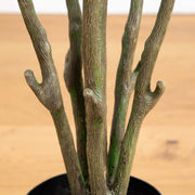 Artificial tree branches in a pot on a wooden surface