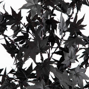 Nearly Natural Pre-Lit Artificial Halloween Black Maple Tree with 300 Orange & Purple LED Lights, 72″