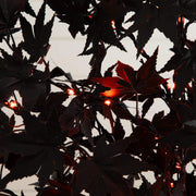Dark leaves with glowing red lights against a dark background