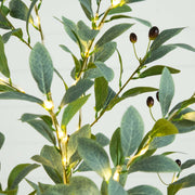 A close-up of a green leafy branch with small dark berries and warm white string lights glowing between the leaves, set against a light neutral background.