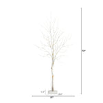White Birch Branches