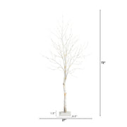White Birch Branches