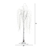 White Bark Decorative Tree