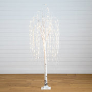 Cascading Willow Branches