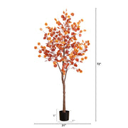 Lighted Fall Eucalyptus Tree