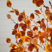 Orange Autumn Foliage