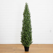 A tall, narrow artificial boxwood tree in a black nursery pot, standing on a light wood floor against a white shiplap wall.
