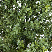 Close-up of an artificial boxwood-style green tree with dense oval leaves and visible support stakes.