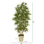 Artificial bamboo plant with dimensions on a white background