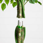 A close-up of a potted tree trunk section with green leaves at the top and several exposed metal stakes or supports wrapped in green material at the bottom, against a plain light background.