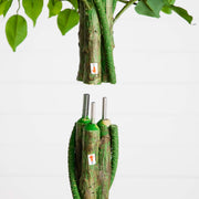 A close-up of a potted tree trunk section with green leaves at the top and several exposed metal stakes or supports wrapped in green material at the bottom, against a plain light background.