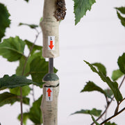 Nearly Natural Artificial Birch Tree with Natural Green Foliage and Light-Hued Bark, 7'