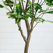 Nearly Natural 7 Foot Artificial Green Citrus Tree for Living Room, Bedroom, and Entryway Decor