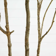 Nearly Natural 7' Artificial Minimalist Japanese Pieris Tree, Green Faux Tree with Real Touch Leaves