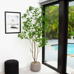 Nearly Natural 7 Foot Artificial Green Pieris Tree for Modern, Zen, and Minimalist Interiors