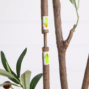 Green Leaf Artificial Tree