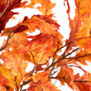 Close-up of autumn leaves with a blurred background