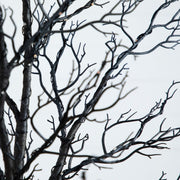 Nearly Natural Pre-Lit Halloween Twig Artificial Fall Tree with 400 Orange & Purple LED Lights and 8 Light Functions, 7'