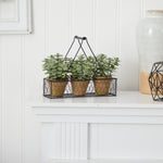 Three potted plants in a wire basket on a white surface with a white paneled wall background.