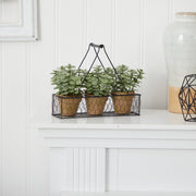 Three potted plants in a wire basket on a white surface with a white paneled wall background.
