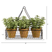 Decorative metal plant holder with three potted plants on a white background