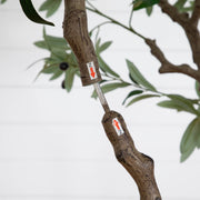 Close-up of a tree trunk with two small white labels marked '2' and an arrow, showing a grafting or pruning detail on the branch against a white paneled background.