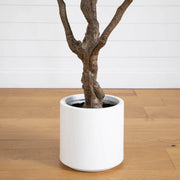 A potted tree trunk in a matte white cylindrical planter, set on a light wood floor against a white paneled wall.