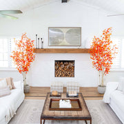 Modern living room with white walls, wooden coffee table, and decorative elements.