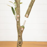 Minimalist faux olive tree for indoor home and office decor