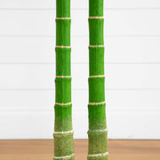 Nearly Natural 9' Artificial Double Golden Cane Palm Tree, Green Tropical Décor