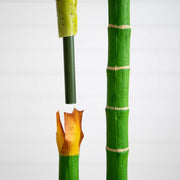 Nearly Natural 9' Artificial Double Golden Cane Palm Tree, Green Tropical Décor