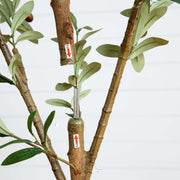 Nearly Natural 9' Artificial Olive Tree with Natural Trunk, Green Mediterranean Faux Tree