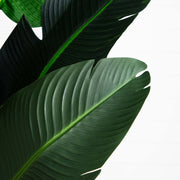 Nearly Natural 9' Artificial Travelers Palm Tree, Green Faux Tropical Palm with Detachable Fronds