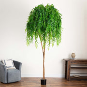 Potted plant in a room with a chair and table