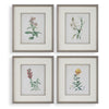 Vintage floral botanical print set
