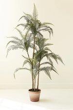 An artificial palm tree with multiple slender trunks and feathery green fronds, potted in a small terracotta-colored round pot, set against a plain off-white wall and floor.