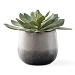 Uttermost Dudleya Outdoor Succulent-Aged White to Blue and Gray Ombre Pot