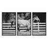 Horse art triptych framed set